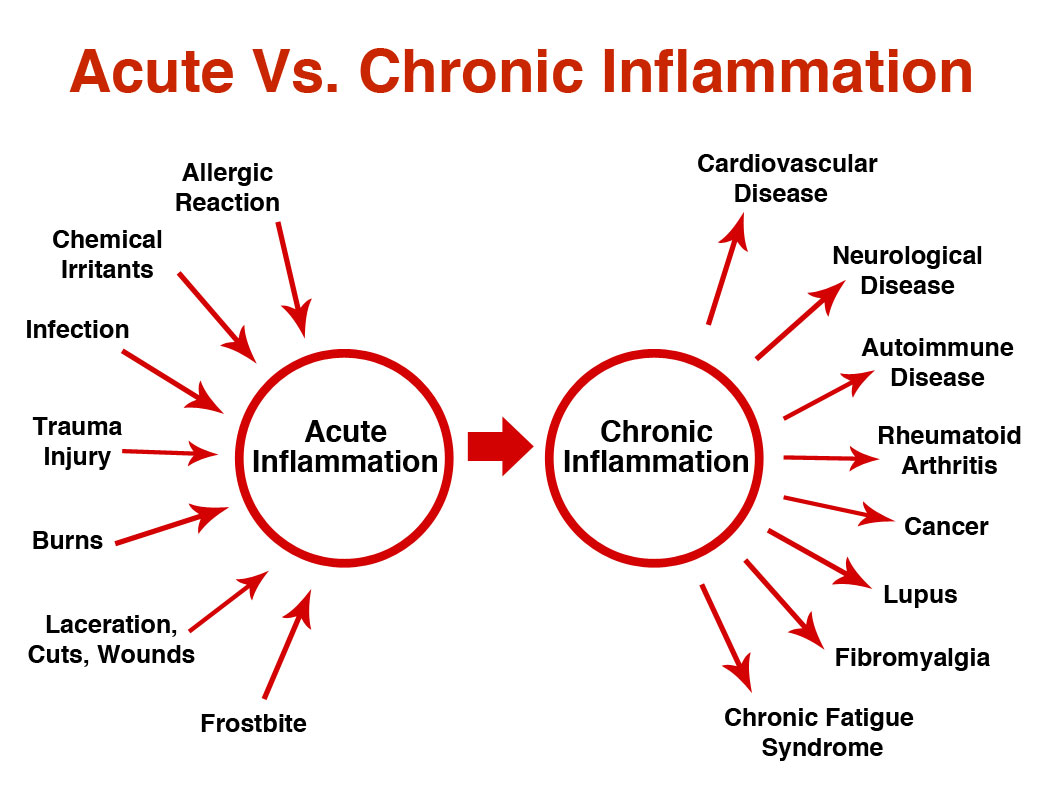 Acute v chronic inflammation